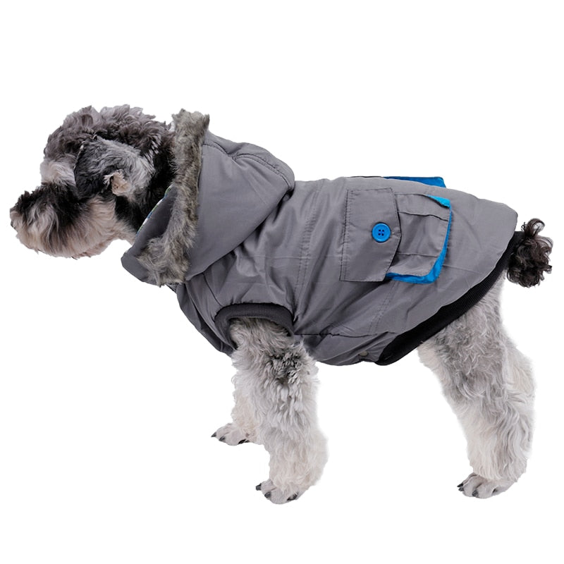 Dog clothes, cotton-padded coat, padded jacket - Automation and Energy